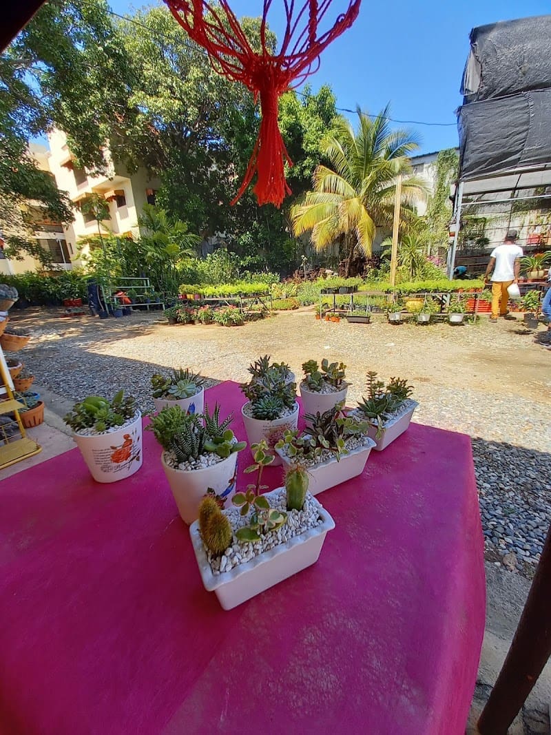 Vivero y Jardinería Fortunato