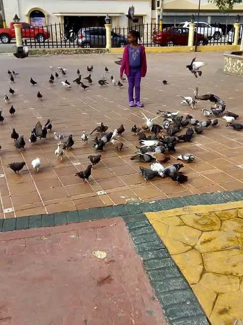 Asociación La Nacional de Ahorros y Préstamos