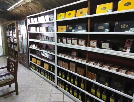 Punta Cana Cigar House
