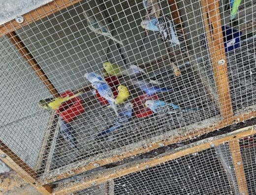 Agroveterinaria Miramar