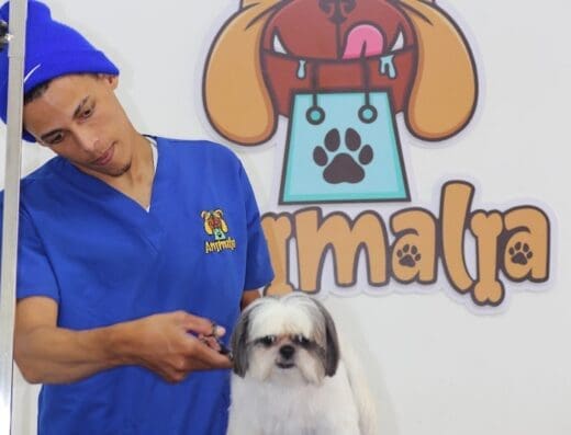 Animalia Veterinaria