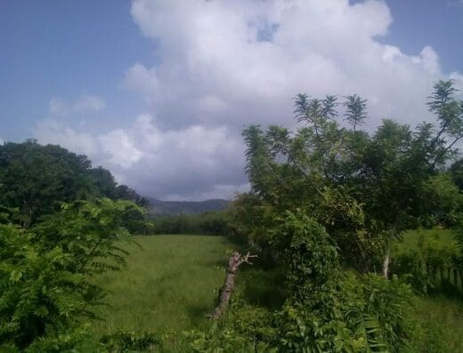 Asociacion de Ganaderos de Monte Plata