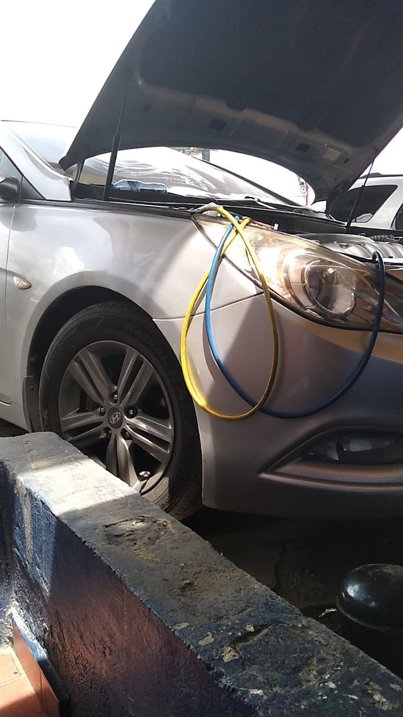 Auto Aire y Auto Adornos Independencia