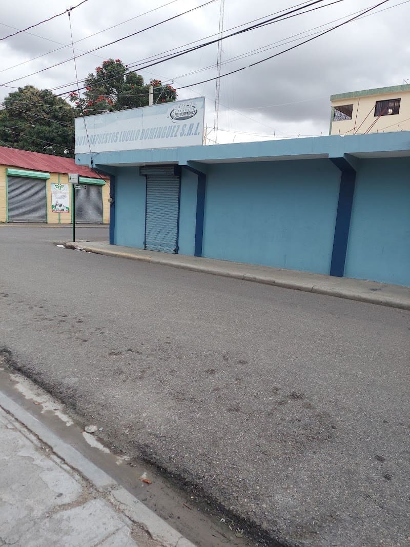 Autorepuestos Lucilo Dominguez