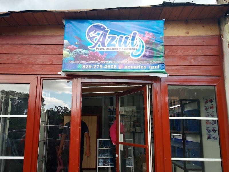 Azul peces Acuarios Y Accesorios