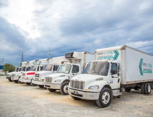 Carga Facil Mudanzas Santiago