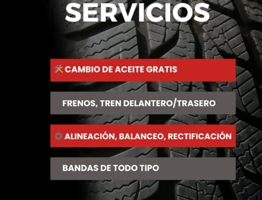 Carlos Frenos y Autoservicio 2