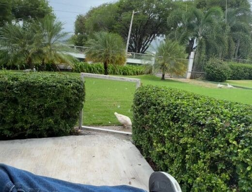 Casas CONSORCIO AZUCARERO CENTRAL