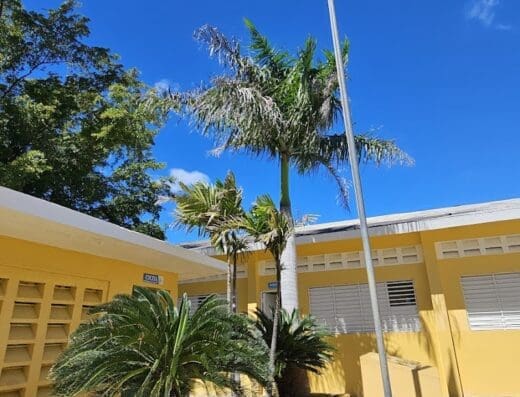 Centro Educativo Ana Mercedes Castro