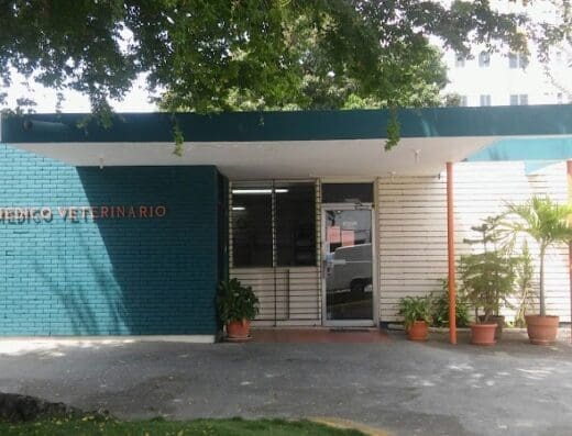 Centro Medico Veterinario