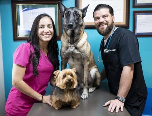 Centro de Especialidades Médicas Veterinarias CEMVET