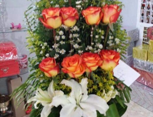 Centro de Estética y Rehabilitación SolnovaSkin