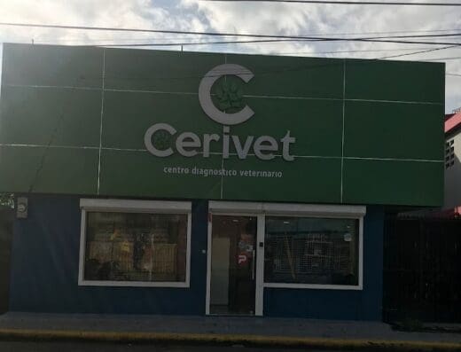 Cerivet Veterinaria