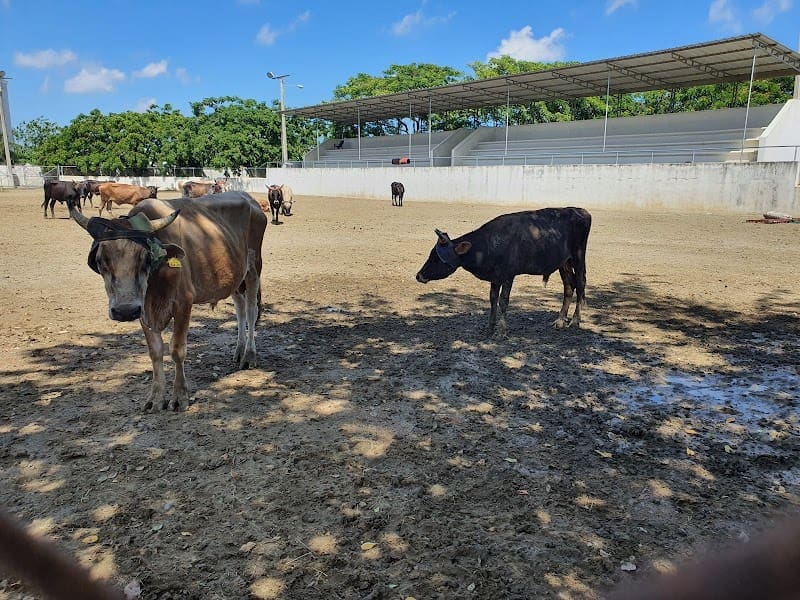 Ciudad Agropecuaria San Francisco Macorís