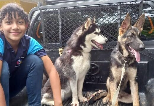 Clinica Veterinaria Dr. Polanco