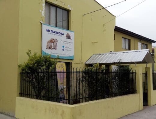 Clínica Veterinaria Mi Mascota