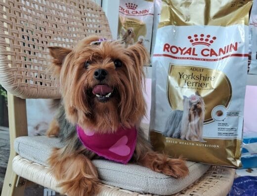 Clinica veterinaria La Dura