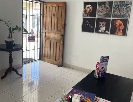 Clínica veterinaria cesvet