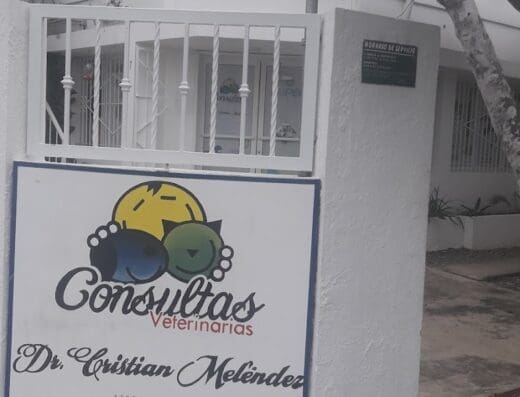 Consultas Dr. Cristian Melendez