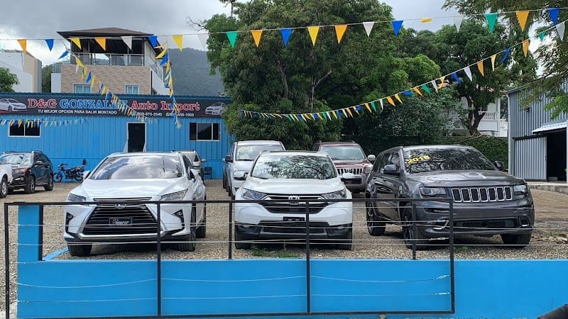 D&G Gonzalez Auto Import, SRL