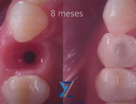 Dente Clínica Odontológica