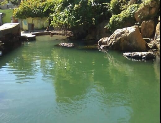 El Manantial de Rio Salao