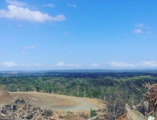 Escuela Primaria Eduardo Estevez Estevez El Guanal