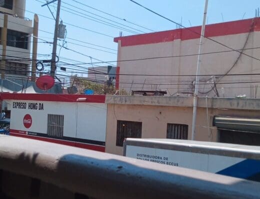 Expreso Hong D (Picapollo Chino)