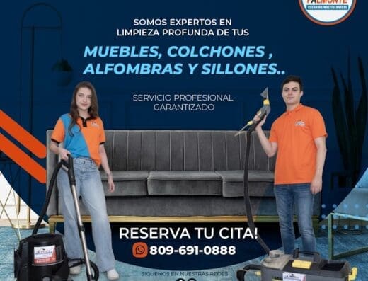 Falmonte Cleaning Multiservices SRL