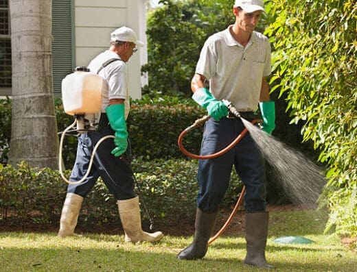 Fumigaciones Bio Clean. Esterilización y fumigación de espacios comerciales