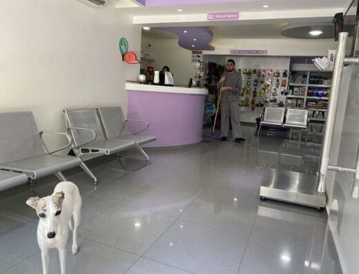 Hospital Veterinario Central