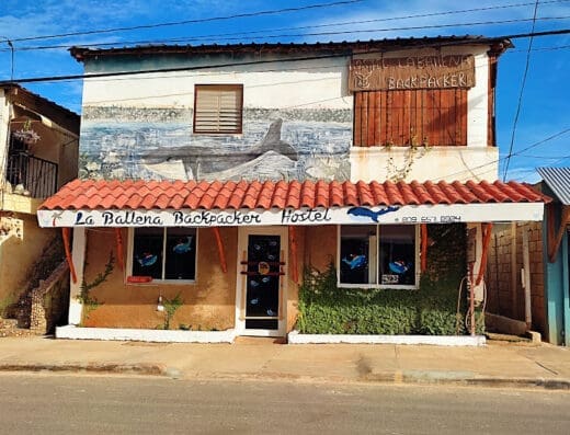 Hostel La Ballena backpacker