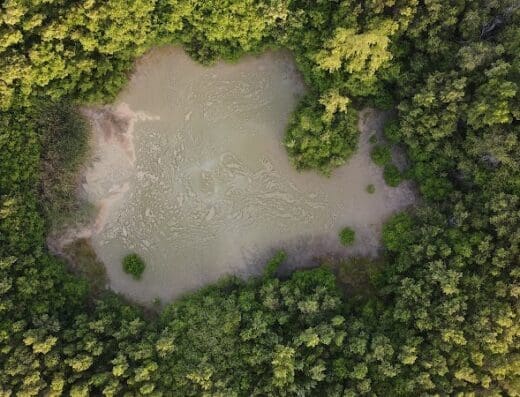 Humedales de Cabo Rojo