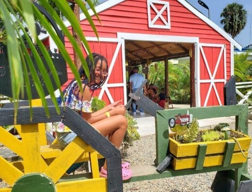 JD Dominican Farm en Moca