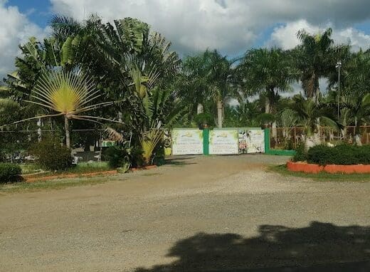 Jardines Del Caribe SRL