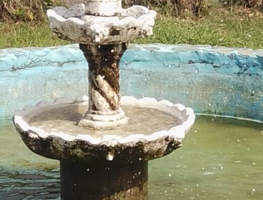 La Fuente del Placer