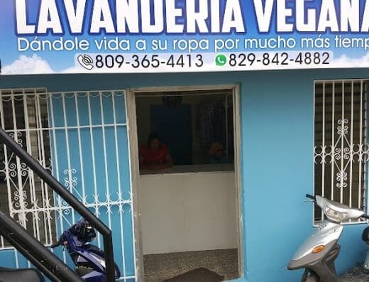Lavanderia Vegana