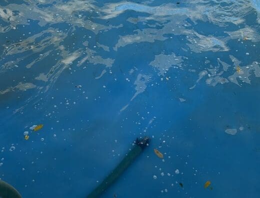 Limpieza de cisterna y piscinas