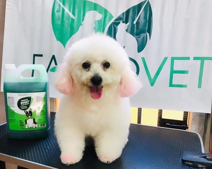 Los Hermanos Pet Shop