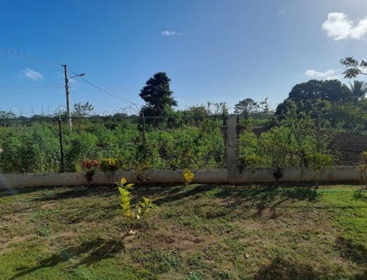 Madre Gertrudis Castañer Fe y Alegría