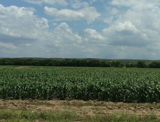 Ministerio de Agricultura