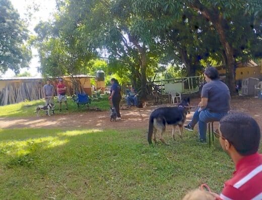 Molinak9 Dog Training, S.R.L