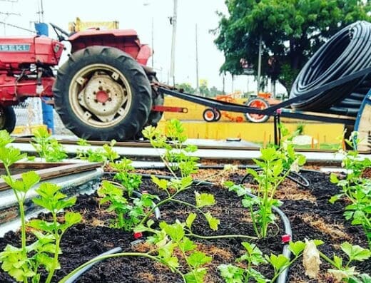 Multiriegos Agrícolas Del Caribe