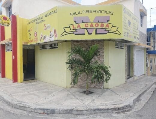 Multiservicios La Caoba