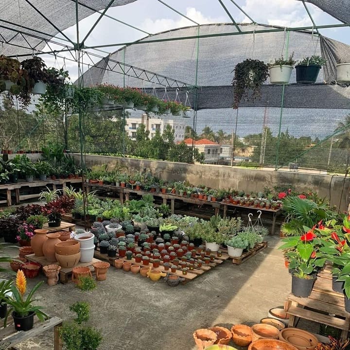 Naturarte Floristería y Más