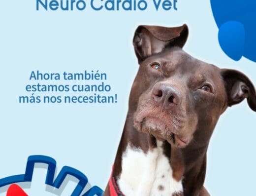 Neurocardiovet