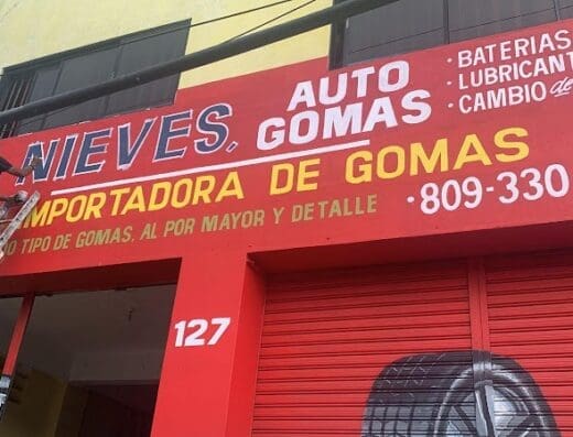 Nieves Auto Gomas Santo Domingo