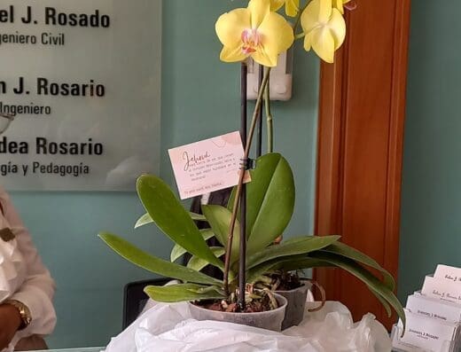 Oficina de Abogados y notaria Selene Rosario y Jhandiel Rosado