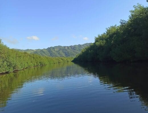 Parque Nacional Manglares de Bajo Yuna