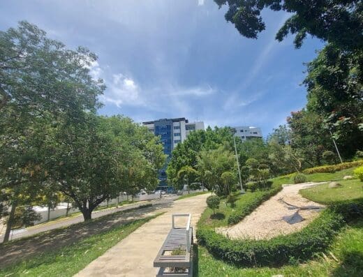 Parque Rosa Duarte, La Trinitaria